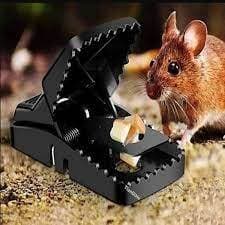     Rat Trap (১পিস) thumbnail 2