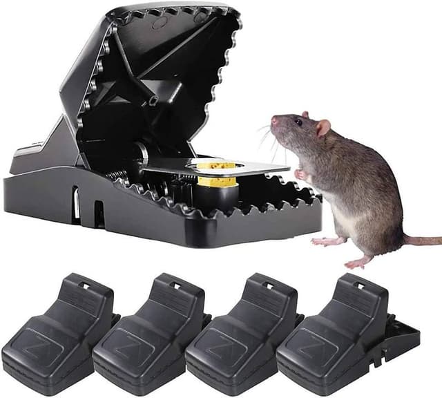Rat Trap (২পিস)
