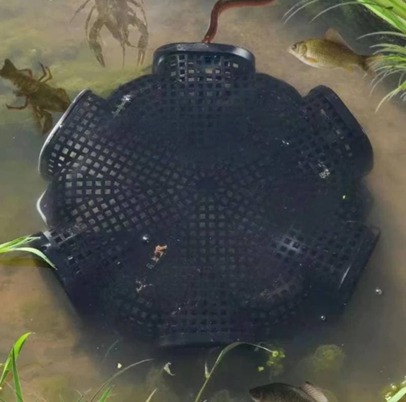  Fish Catching Trap thumbnail 3