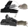     Rat Trap (১পিস)