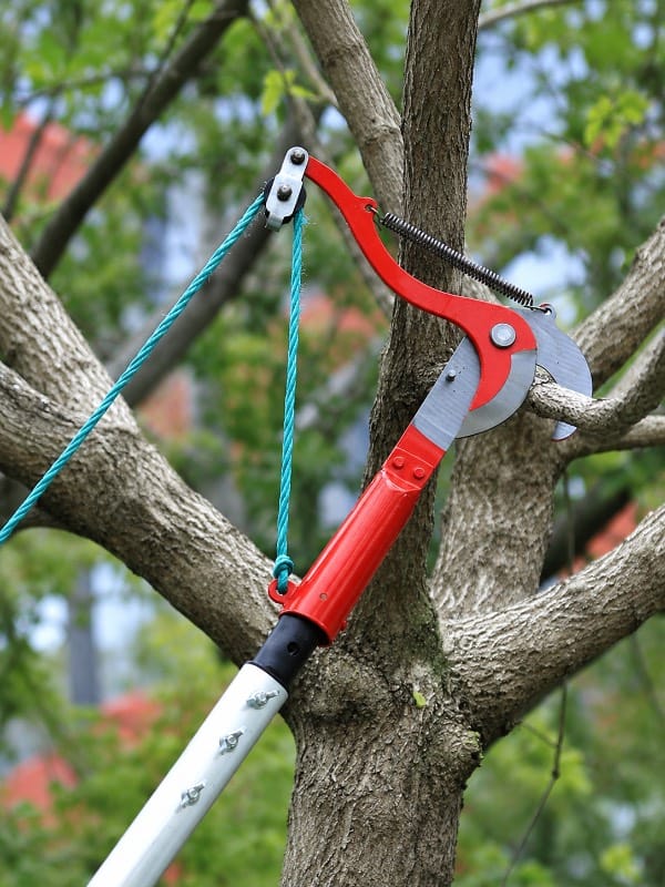 Tree Branches Cutter